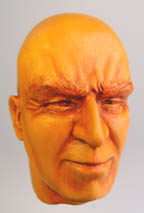 Face Step 7