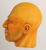 Face View e